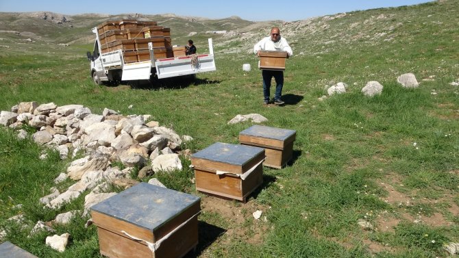 Arıların Tatlı Yolculuğu Başladı, En Büyük Endişe Kuraklık