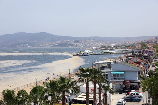 Marmara’da Deniz Salyasına Karşı Ortak Mücadele