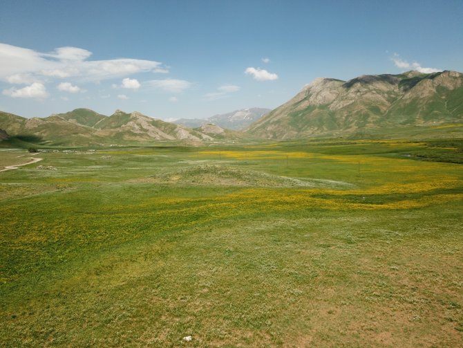 Faraşin Yaylasındaki Renk Cümbüşü Görenleri Hayran Bıraktı