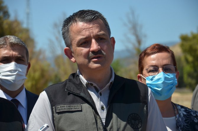 Bakan Pakdemirli: "Tarım İşçilerimiz Kademeli Aşılanacak"