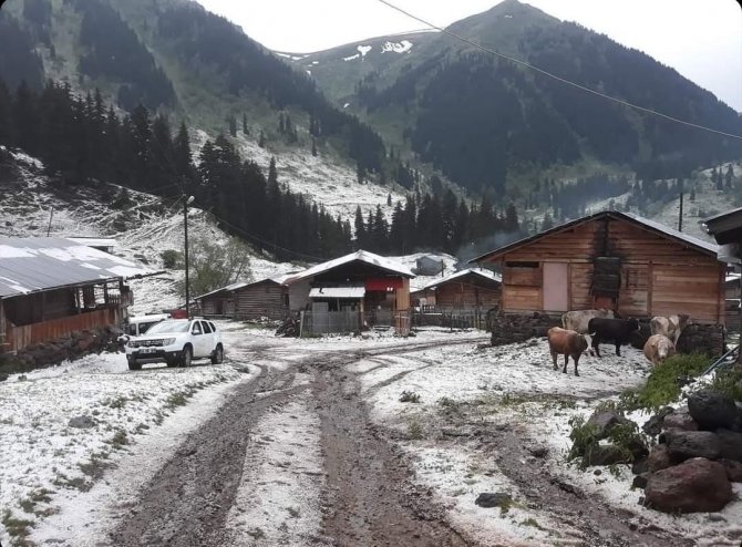 Şavşat’ın Köyleri Dolu Yağışıyla Beyaza Büründü
