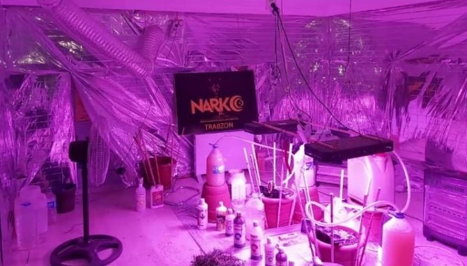 Kaldıkları Evi Kenevir Yetiştirmek İçin Adeta Laboratuvara Dönüştürmüşler