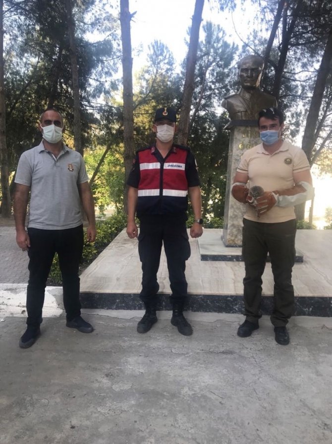 Yaralı Kukumav Baykuş Tedavi Altına Alındı