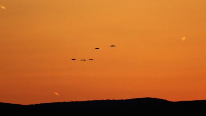 Kaz Gölünde Gün Batımı Hayran Bırakıyor