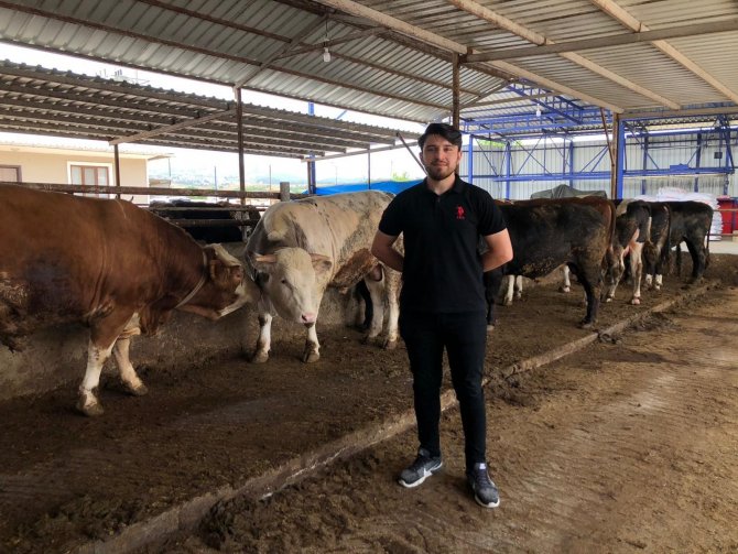 Piyasalarda Kurban Hareketliliği Yaşanıyor