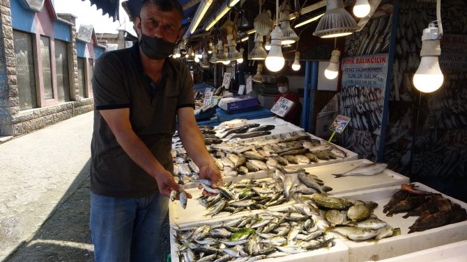 Balık Fiyatları El Yakıyor