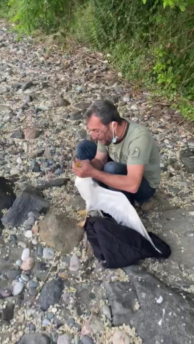 Ayaklarına Balık Kancası Takılan İki Martıyı Kurtardı, Ödülü Martının Isırığı Oldu