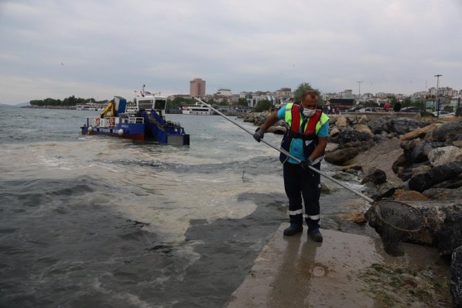 Kartal Sahilleri Deniz Salyasından Temizleniyor