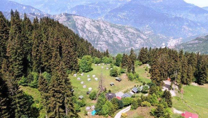 Bu Obada Ayı Ve Kurt Görene 10 Günlük Tatil Bedava