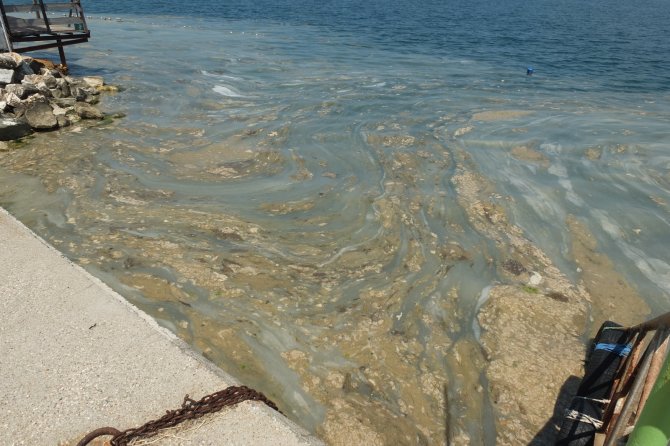 Marmara Denizi’nden Gelen Kötü Haberlerin Arkası Kesilmiyor