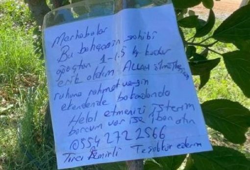 Erik Ağacının Dalına Not Bıraktı, "Borcum Var İse İban Atın"