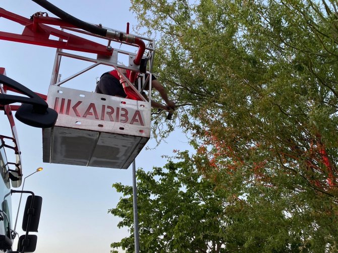 Boynuna Maske Dolanan Kargayı İtfaiye Ekipleri Kurtardı