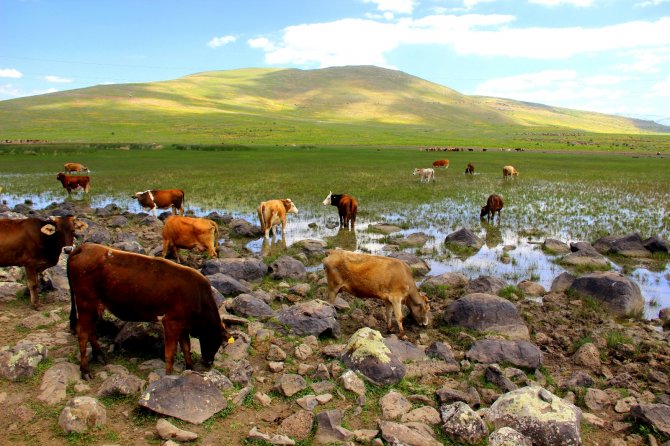 Erzurum’da Kuraklık Hat Safhada, Göller Bir Bir Kuruyor