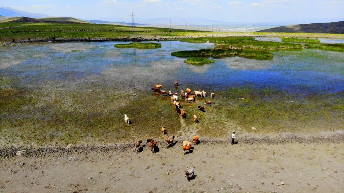 Erzurum’da Kuraklık Hat Safhada, Göller Bir Bir Kuruyor