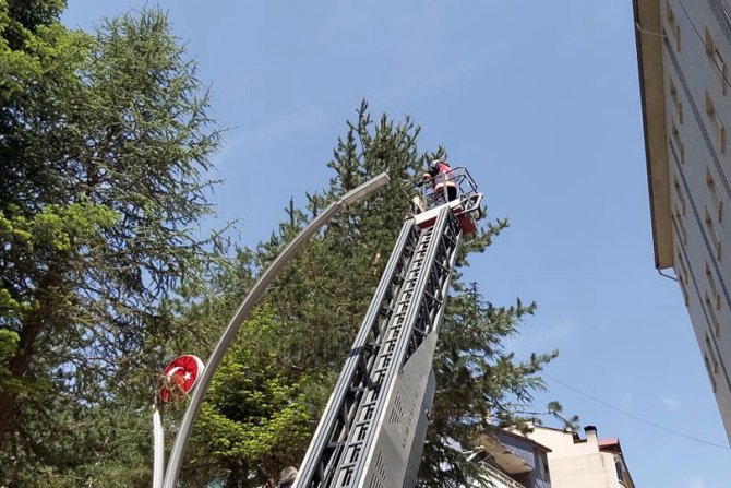 Torul İ̇tfaiyesinden “Yavru Karga” Operasyonu