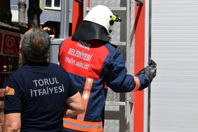 Torul İ̇tfaiyesinden “Yavru Karga” Operasyonu