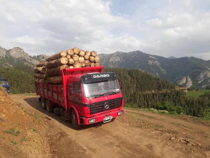 Ekmek Parası İçin Tomruk Yüklü Kamyonları Tehlikeli Dağ Yollarında Kullanıyorlar