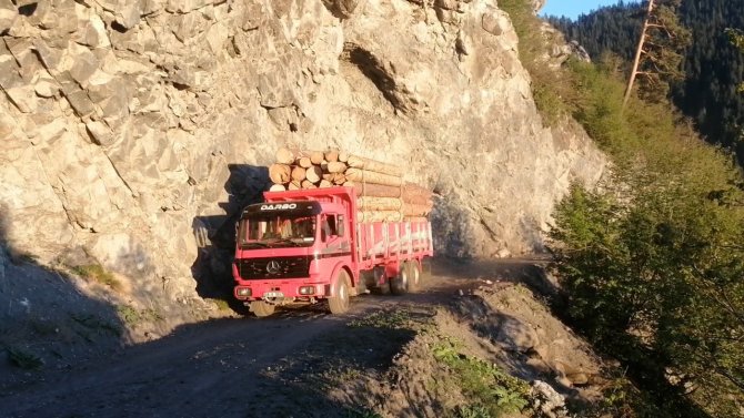 Ekmek Parası İçin Tomruk Yüklü Kamyonları Tehlikeli Dağ Yollarında Kullanıyorlar