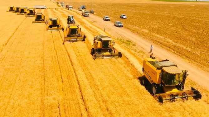 Dünyanın En Büyük Çiftliğinde Buğday Hasadı Başladı