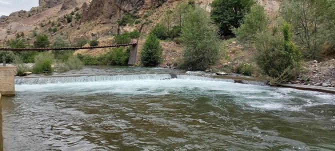 Artvin’de Kano Yarışları Düzenlendi