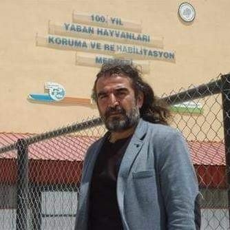 Etçil Çekirge Görenleri Şaşırttı