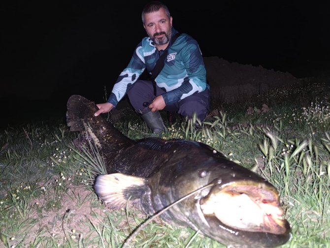 Tekirdağ’da Dev Yayın Balığı Yakalandı