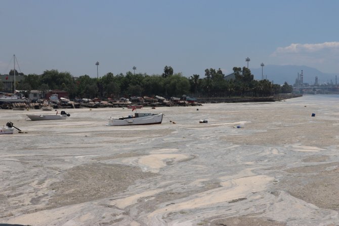 Vatandaşlar Deniz Salyasını Küreklerle Topladı