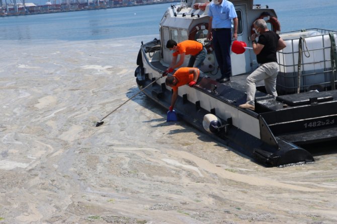Vatandaşlar Deniz Salyasını Küreklerle Topladı