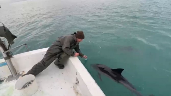 Trabzonlu Balıkçılar İle Yunusların Dostluğu