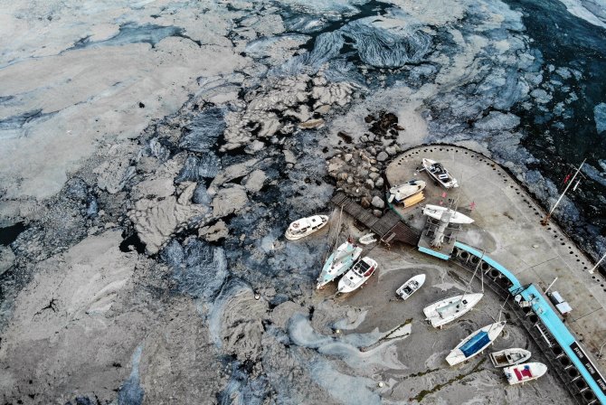 Caddebostan Sahili Müsilaj İstilası Altında