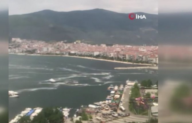 Gemlik Körfezindeki Müsilaj İstilası Vatandaş Kamerasında