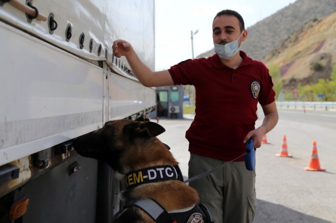 Doğu İllerinden Karadeniz’e Uyuşturucunun Geçişine ’Alex’ Engeli