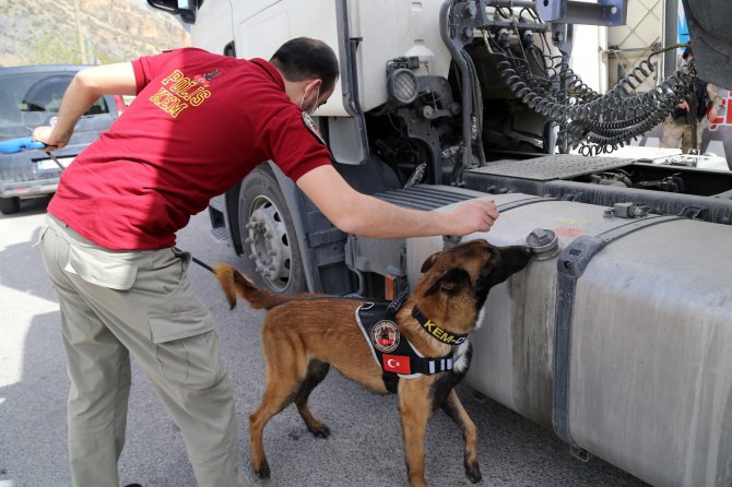 Doğu İllerinden Karadeniz’e Uyuşturucunun Geçişine ’Alex’ Engeli