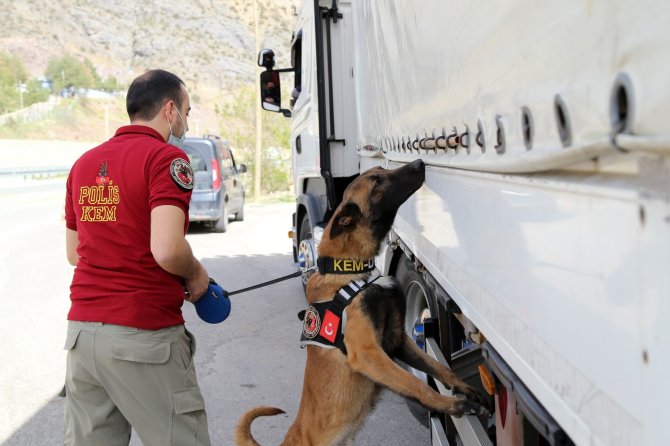 Doğu İllerinden Karadeniz’e Uyuşturucunun Geçişine ’Alex’ Engeli