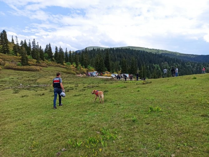 Gümüşhane’de Kaybolan Şahıs Aranıyor