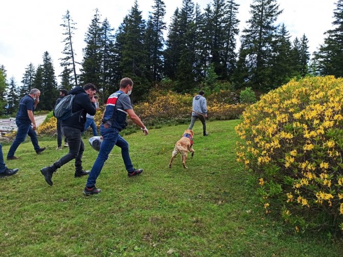 Gümüşhane’de Kaybolan Şahıs Aranıyor