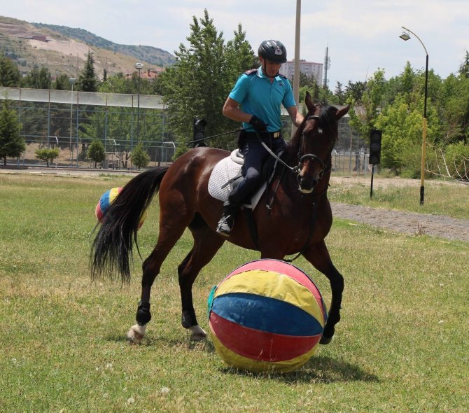 Futbolcuları Aratmayan At