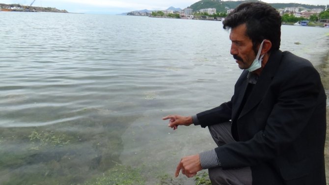 Marmara Denizi’ndeki Müsilaj Karadenizli Balıkçıları Endişelendiriyor
