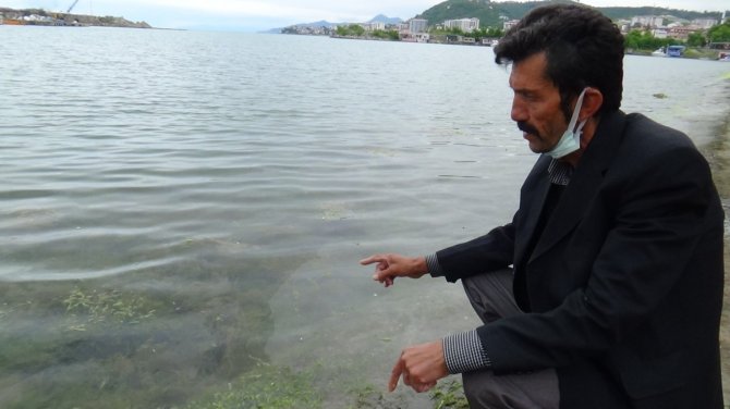 Marmara Denizi’ndeki Müsilaj Karadenizli Balıkçıları Endişelendiriyor