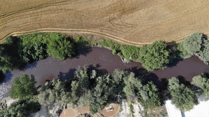 Marmara Denizine Akan Nilüfer Çayı’nda Korkutan Görüntü