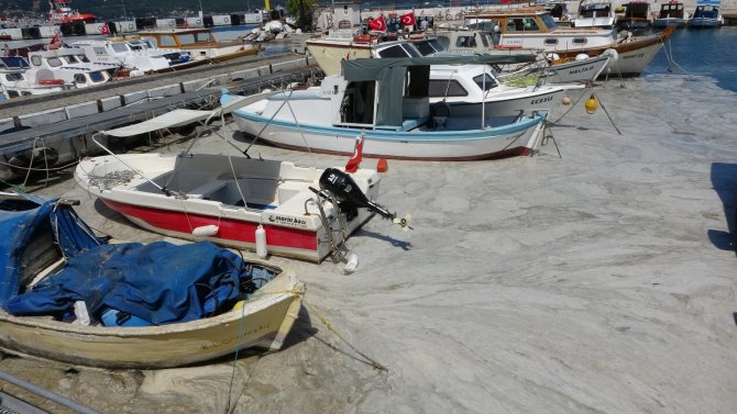 Çanakkale Boğazı’nda Müsilaj Temizliği 4’üncü Gününde Devam Ediyor