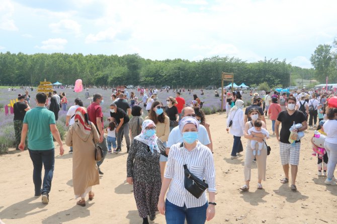 İ̇stanbullulardan Edirne’deki Lavanta Etkinliğine Yoğun İlgi
