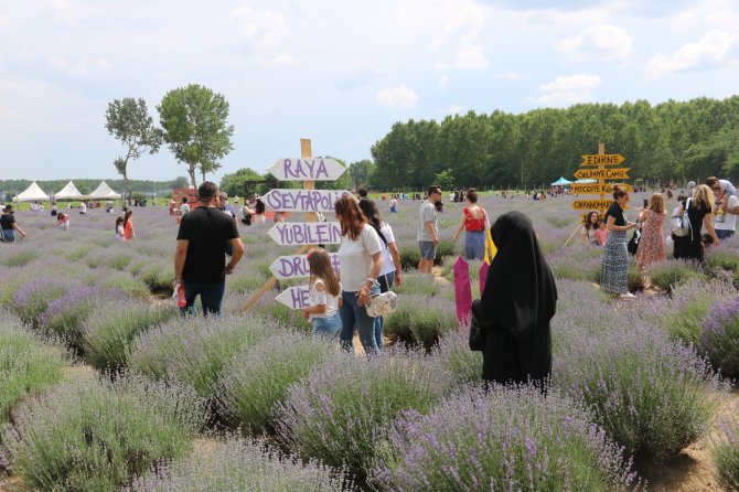 İ̇stanbullulardan Edirne’deki Lavanta Etkinliğine Yoğun İlgi