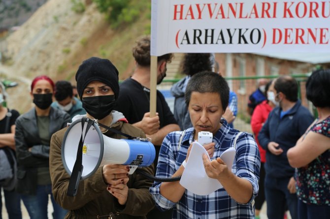 Artvin’de Hayvan Severler Sokak Hayvanlarının Sesi Oldu