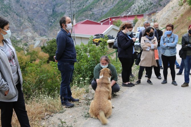 Artvin’de Hayvan Severler Sokak Hayvanlarının Sesi Oldu