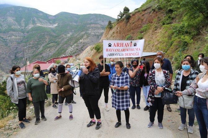 Artvin’de Hayvan Severler Sokak Hayvanlarının Sesi Oldu