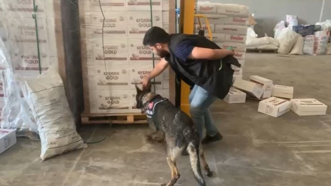 Dedektör Köpek Tepki Verdi, Bisküvi Kutularından 16 Bin Paket Kaçak Sigara Çıktı