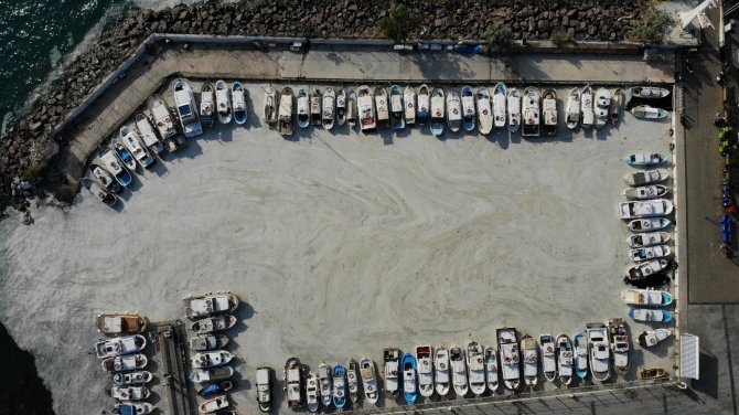 Çanakkale Boğazı’nda 1 Haftada 198 Metreküp Müsilaj Toplandı