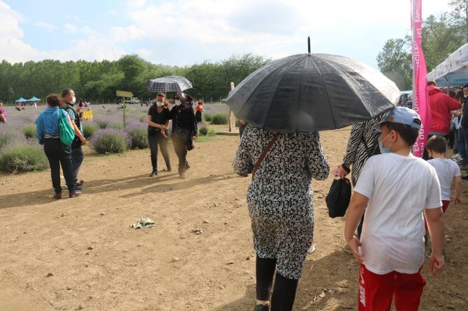 Lavanta Tarlasında Fotoğraf Tutkusu Yağmur Dinlemedi