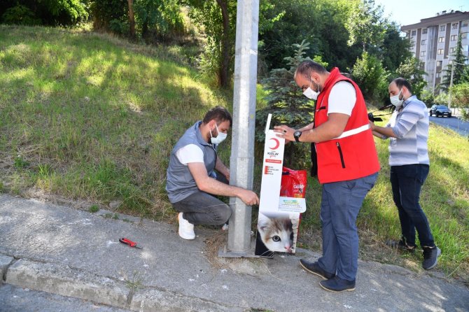 Başkan Genç’ten “Sokak Hayvanlarını Unutmayın” Uyarısı